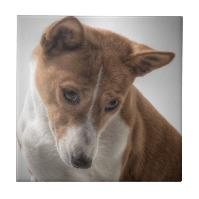 basenji tile (Front)