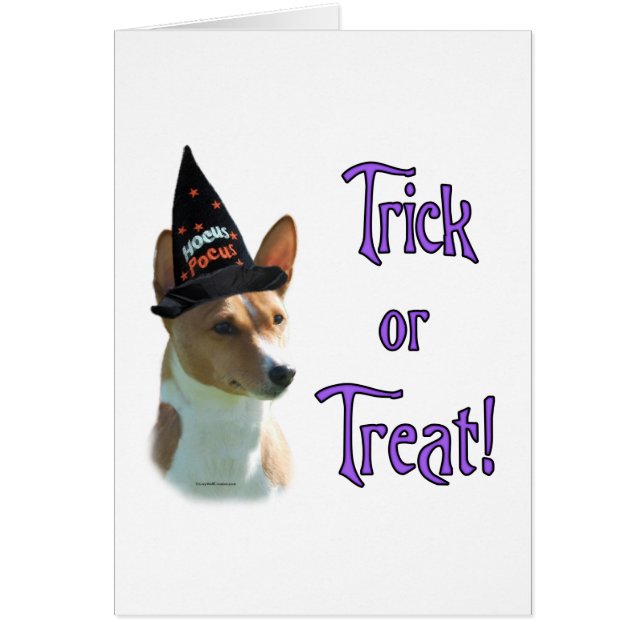 Basenji Trick (Front)