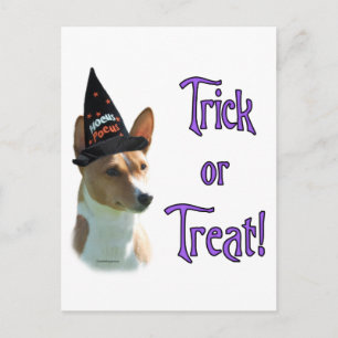 Basenji Trick Postcard