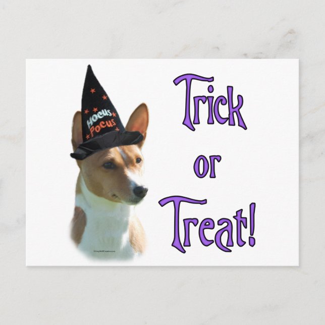 Basenji Trick Postcard (Front)