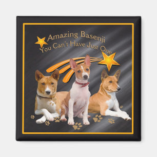 Basenji You Can't Have Just One Magnet