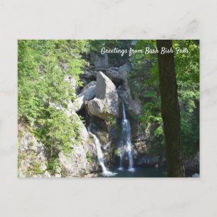 Bash Bish Falls Souvenir Postcard