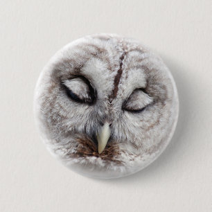 Bashful Barred Owl 6 Cm Round Badge