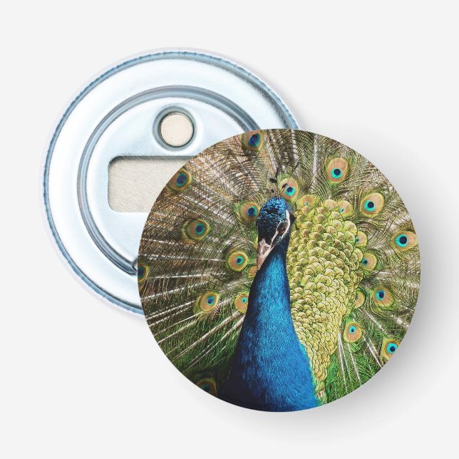 Bashful Peacock Bottle Opener (Front)