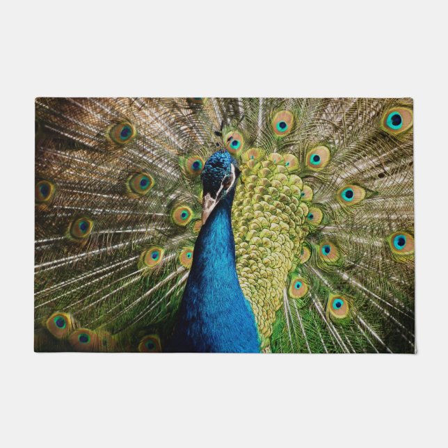 Bashful Peacock  Doormat (Front)