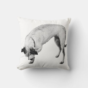 Bashful Pup, Cosy Corner Cushion