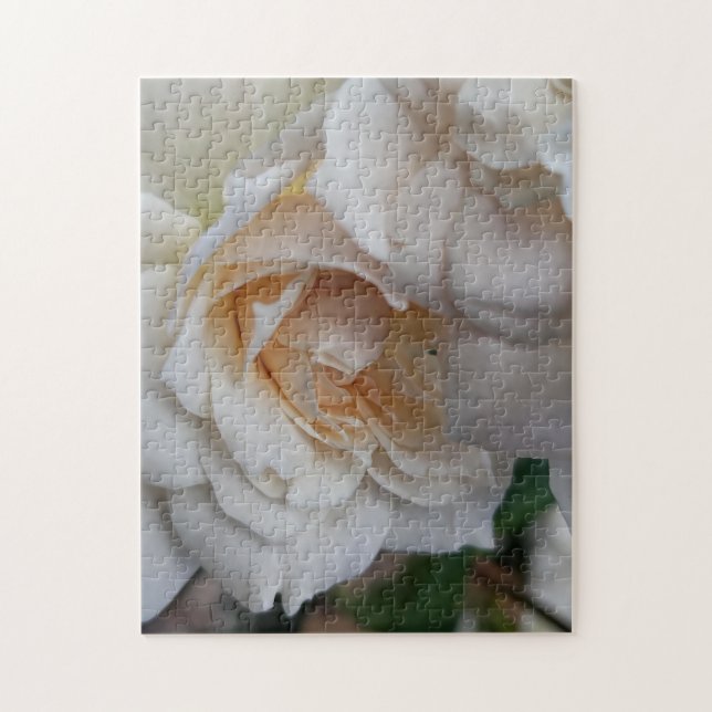 Bashful Roses Jigsaw Puzzle (Vertical)