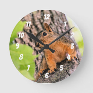 Bashful Round Clock