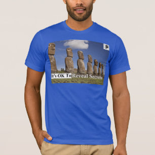 Basic American Apparel T-Shirt