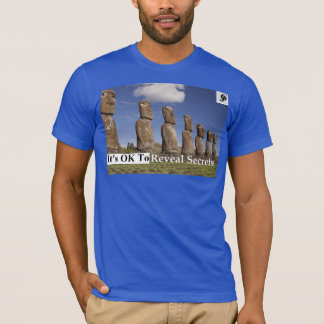 Basic Bella Canvas T-Shirt