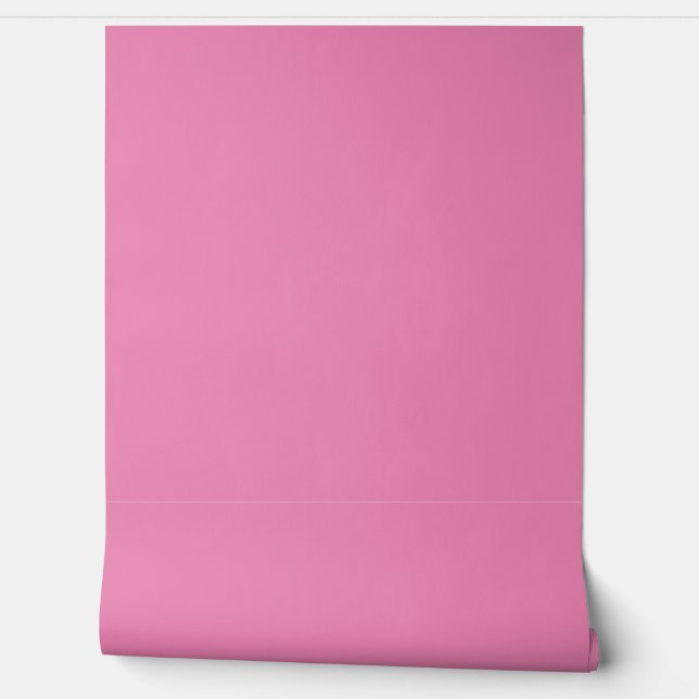 Basic Bubblegum Pink Solid Colour Simple Minimal Wallpaper (Unrolling)