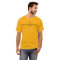 Basic Men's T-shirt
