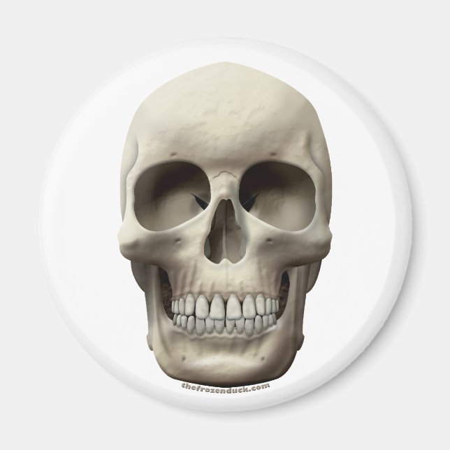 Basic Skull Magnet (Front)