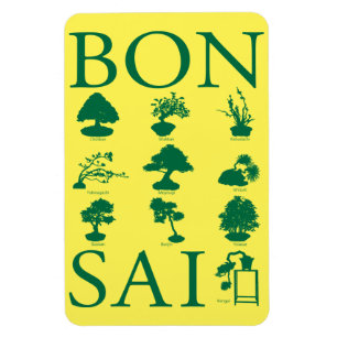Basic Styles of Bonsai Tree Magnet
