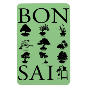 Basic Styles of Bonsai Tree Magnet