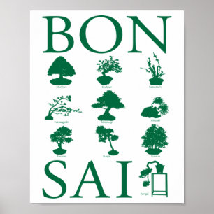 Basic Styles of Bonsai Tree Poster