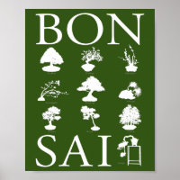 Basic Styles of Bonsai Tree