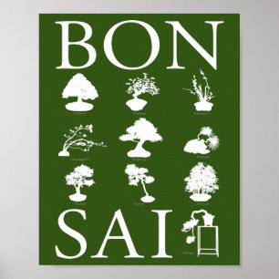 Basic Styles of Bonsai Tree Poster