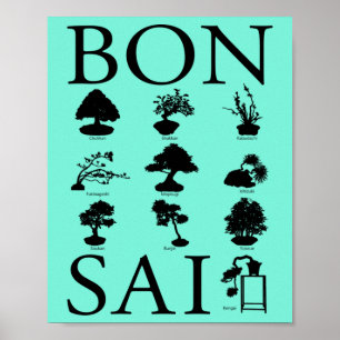 Basic Styles of Bonsai Tree Poster