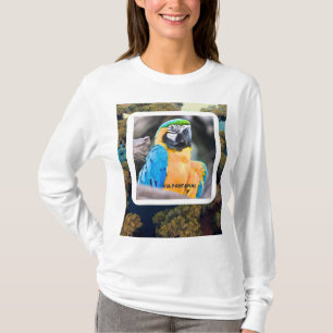 Basic Women's Shirt of Long Arara Mangas