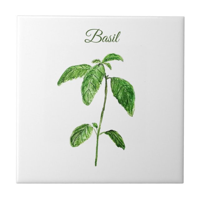 Basil Herb Greenery Kitchen Culinary Green Rustic Tile (Front)