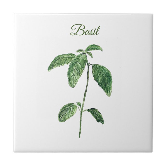 Basil Herb Greenery Kitchen Culinary Green Rustic Tile (Front)