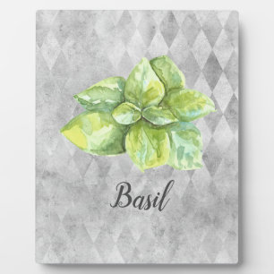 Basil Herb Watercolor Illustration   Plaque