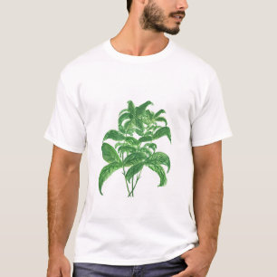 Basil herbs botanical kitchen garden watercolor T-Shirt