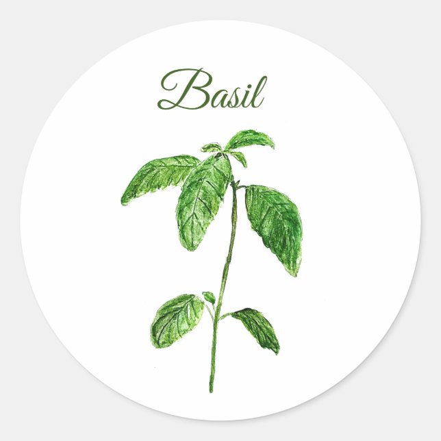 Basil Herbs Watercolor Kitchen Green Rustic Classic Round Sticker (Front)