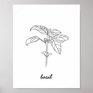 Basil Illustration Print