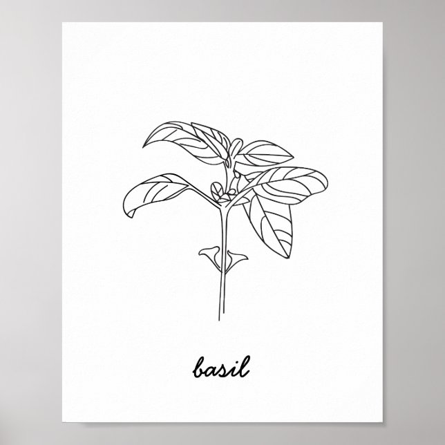 Basil Illustration Print (Front)