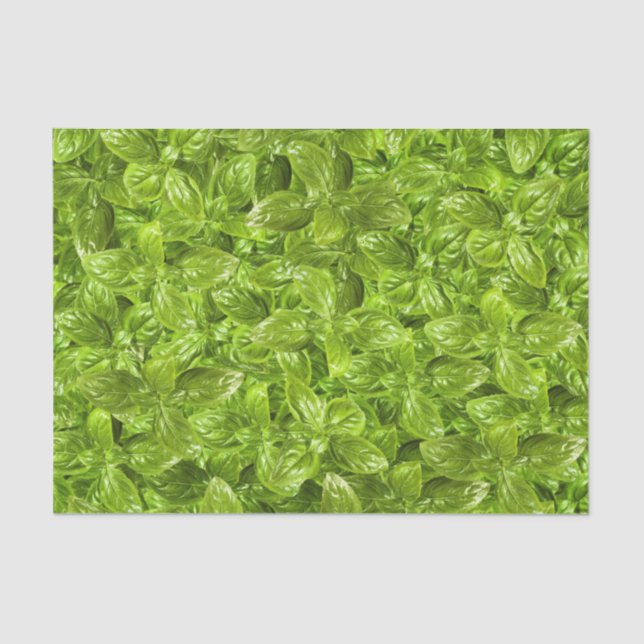 Basil Leaves Pattern Tissue Paper (Front)