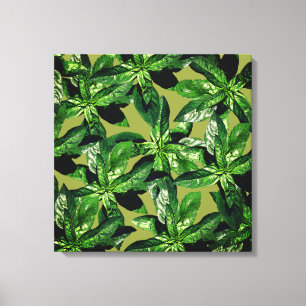 Basil Plant Photo Pattern Wrapped canvas