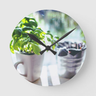 Basil Plant Round Clock