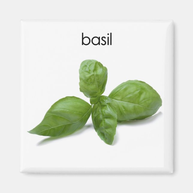 Basil Refrigerator Magnet (Front)
