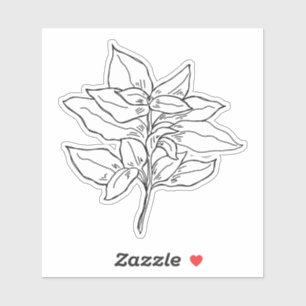 Basil Sticker