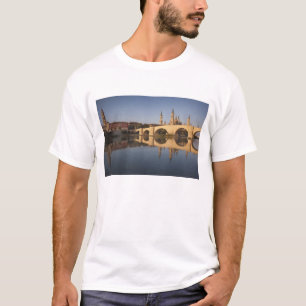 Basilica de Nuestra Senora de Pilar T-Shirt