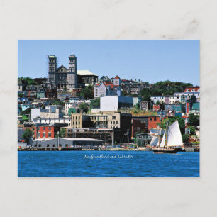 Basilica on the Shoreline in St. John's Postcard