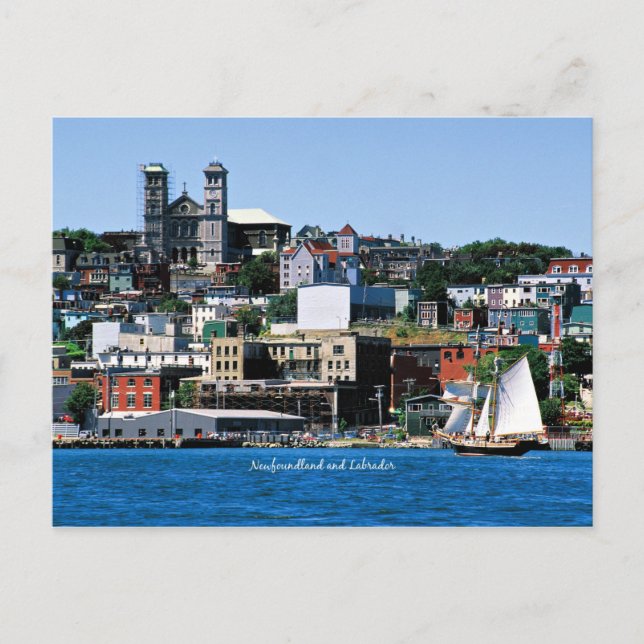 Basilica on the Shoreline in St. John's Postcard (Front)