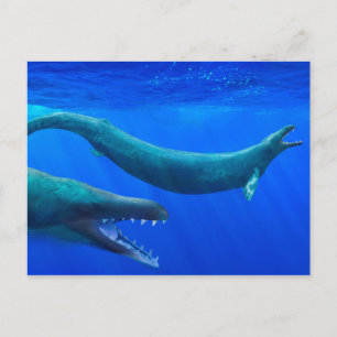 Basilosaurus (prehistoric whale) Postcard