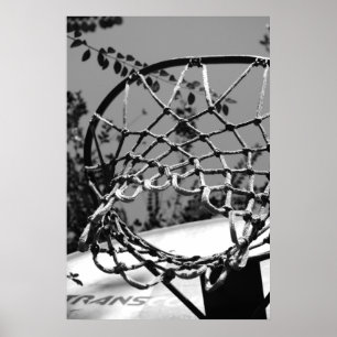 Basket Ball Net Print