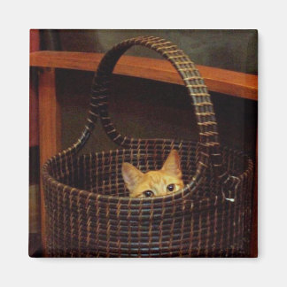 Basket Case Magnet