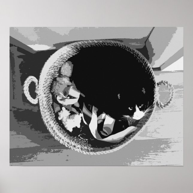Basket Cat Poster (Front)