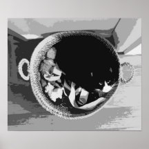 Basket Cat Poster