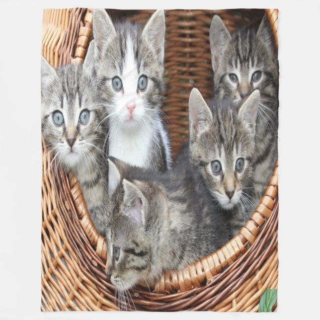 Basket Full Of Kittens Fleece Blanket (Front)