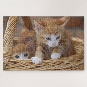 basket kittens puzzle