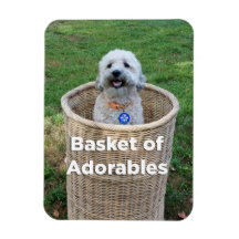 Basket of Adorables Adorable Dogs 4 Hillary Magnet