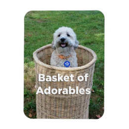 Basket of Adorables Adorable Dogs 4 Hillary Magnet