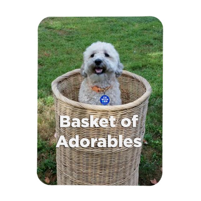 Basket of Adorables Adorable Dogs 4 Hillary Magnet (Vertical)