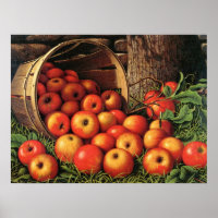 Basket of Apples, fine art painting,